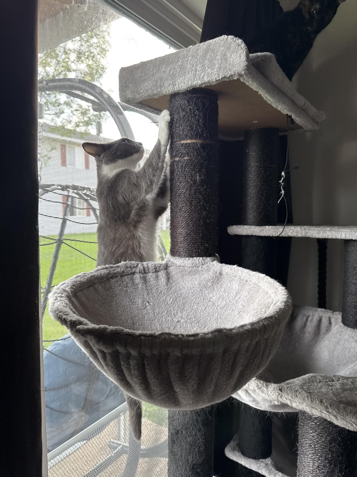 MUTTROS Maine Coon Cat Tree-67 Large Cat Tower for Indoor Cats Large Adult with 7 Thick Black Scratching Posts (φ4.3), Multi-Level Condo, Big Perch & Hammocks -Black customer photo 1