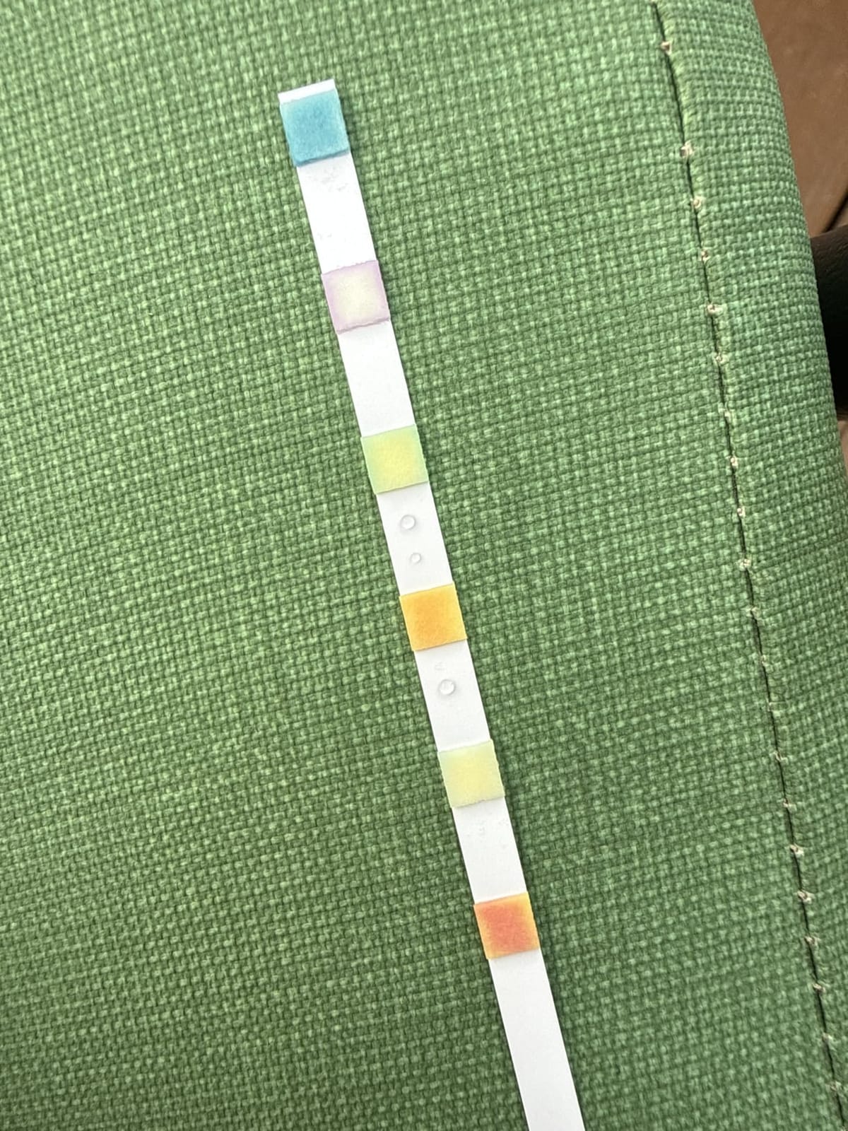 Pool Test Strips with App 7 in 1 (150 Strips) Easy & Accurate Testing | Test pH, Free Chlorine, Alkalinity, Total Chlorine, Bromine, Hardness and Stabilizer, 150 Swimming Pool Water Smart Strips customer photo 1