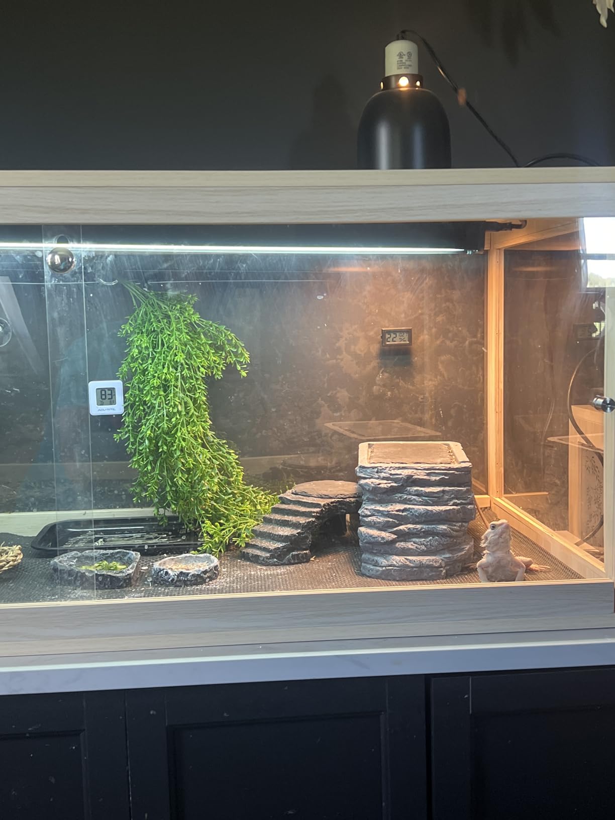 PROLEE Bearded Dragon Tank, 30 Gallon Reptile Tank with Metal Mesh Roof and Front Sliding Door, Lizard Tank,Spacious Reptile Enclosure for Snakes, Oak customer photo 2