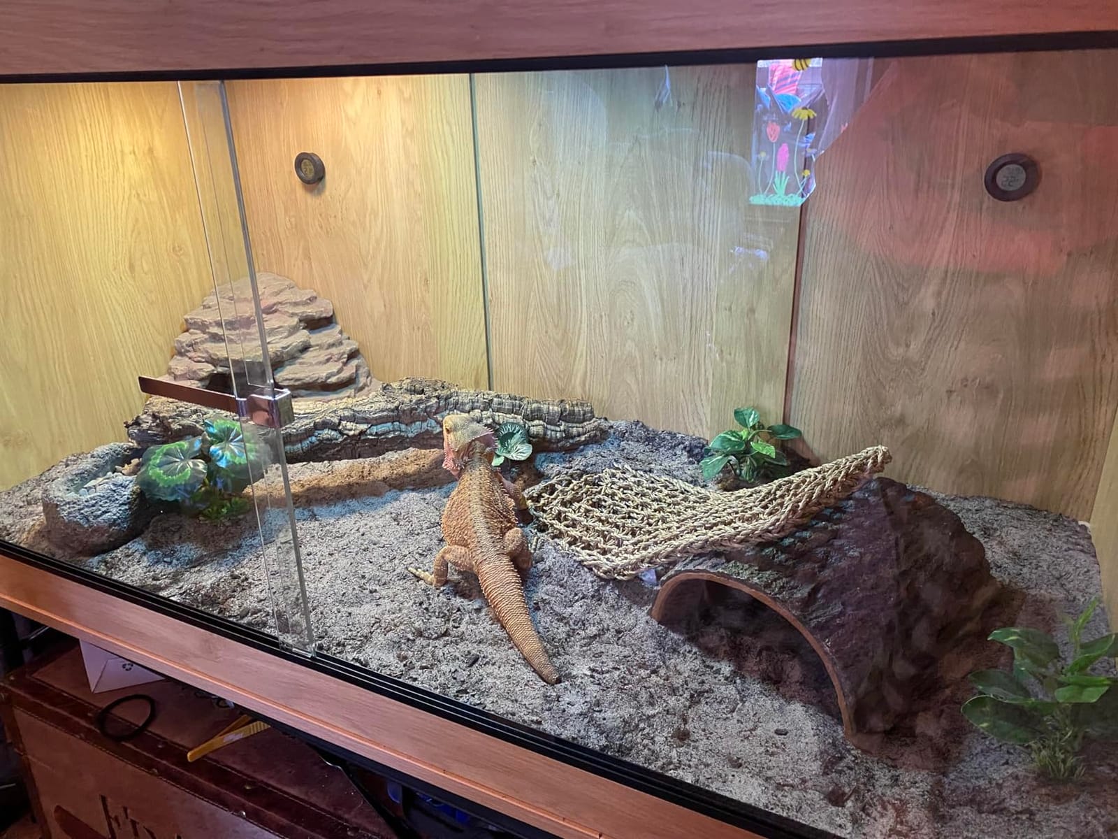 unipaws 110 Gallon Reptile Tank for Lizards, Bearded Dragon Enclosure Cage customer photo 2