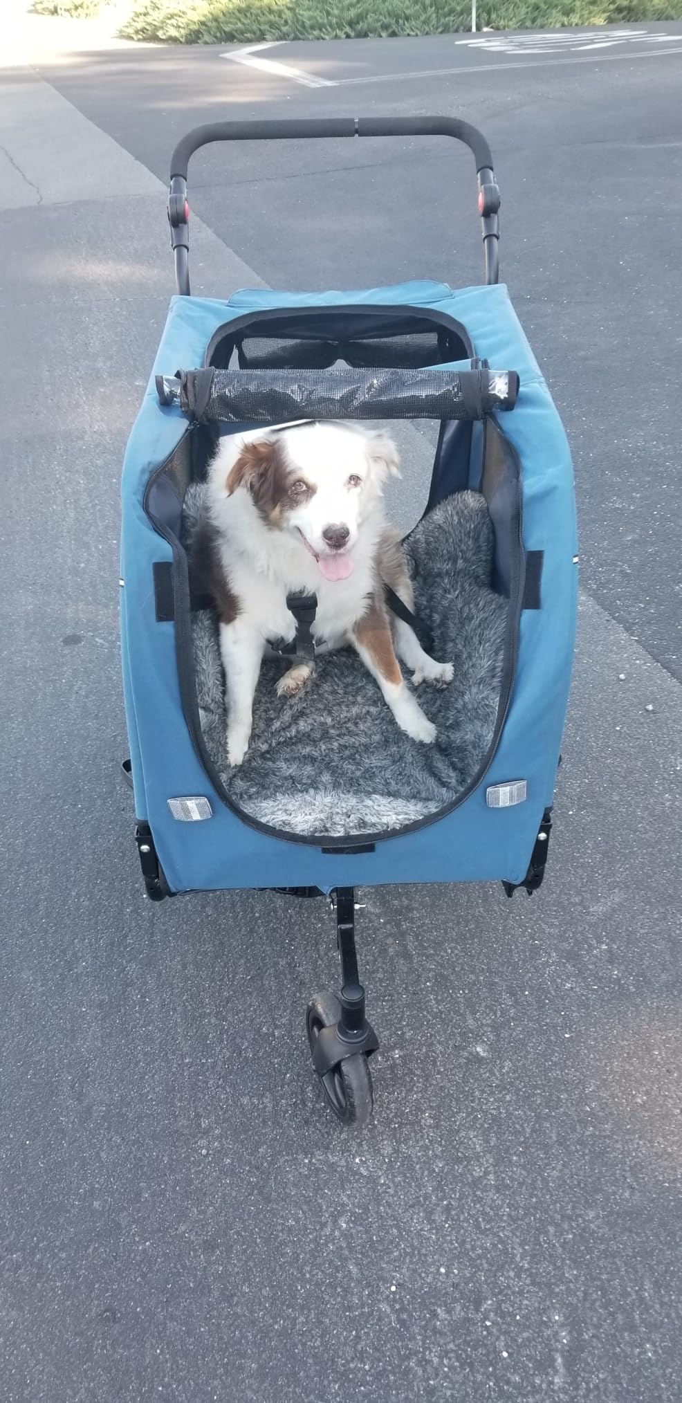 Sepnine Dog Bike Trailer, Supports up to 110 lbs, 2-in-1 Pet Stroller Cart Bicycle Carrier customer photo 1