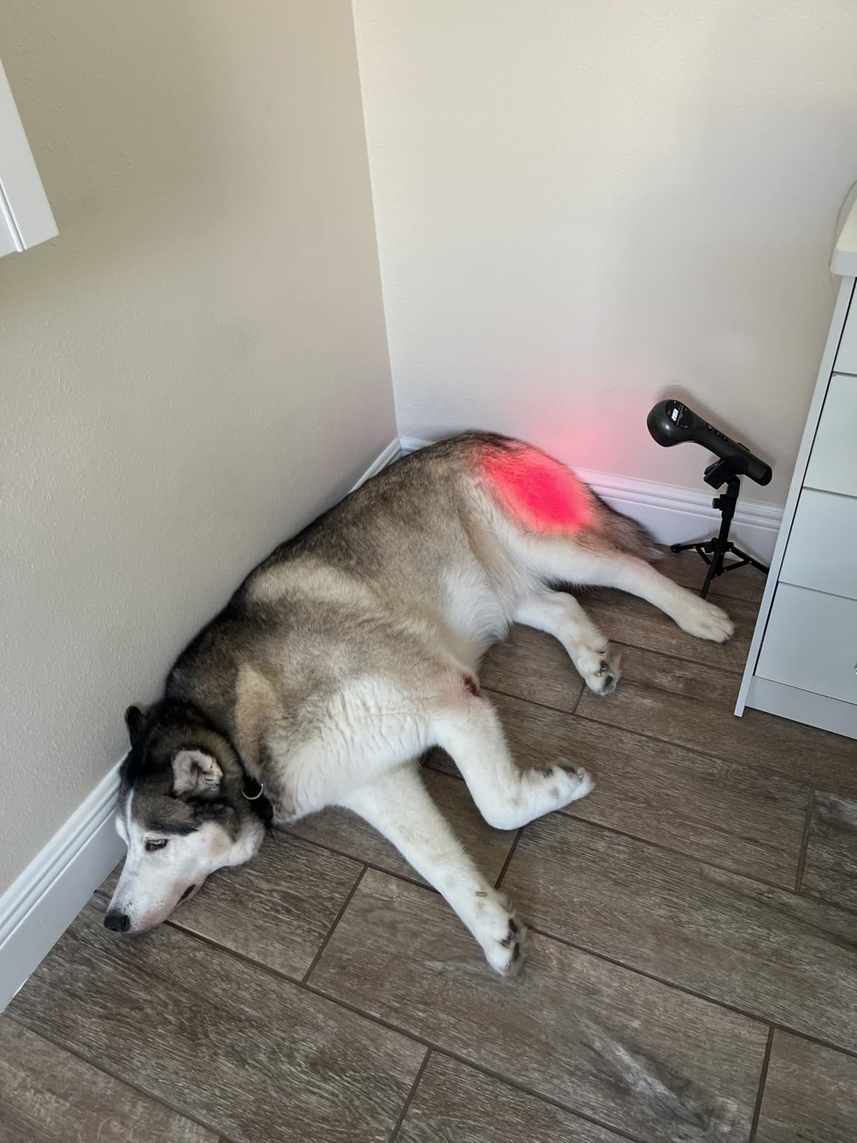 Red Light Therapy Device, 660/808nm Handheld Infrared Light Wand with Stand customer photo 2