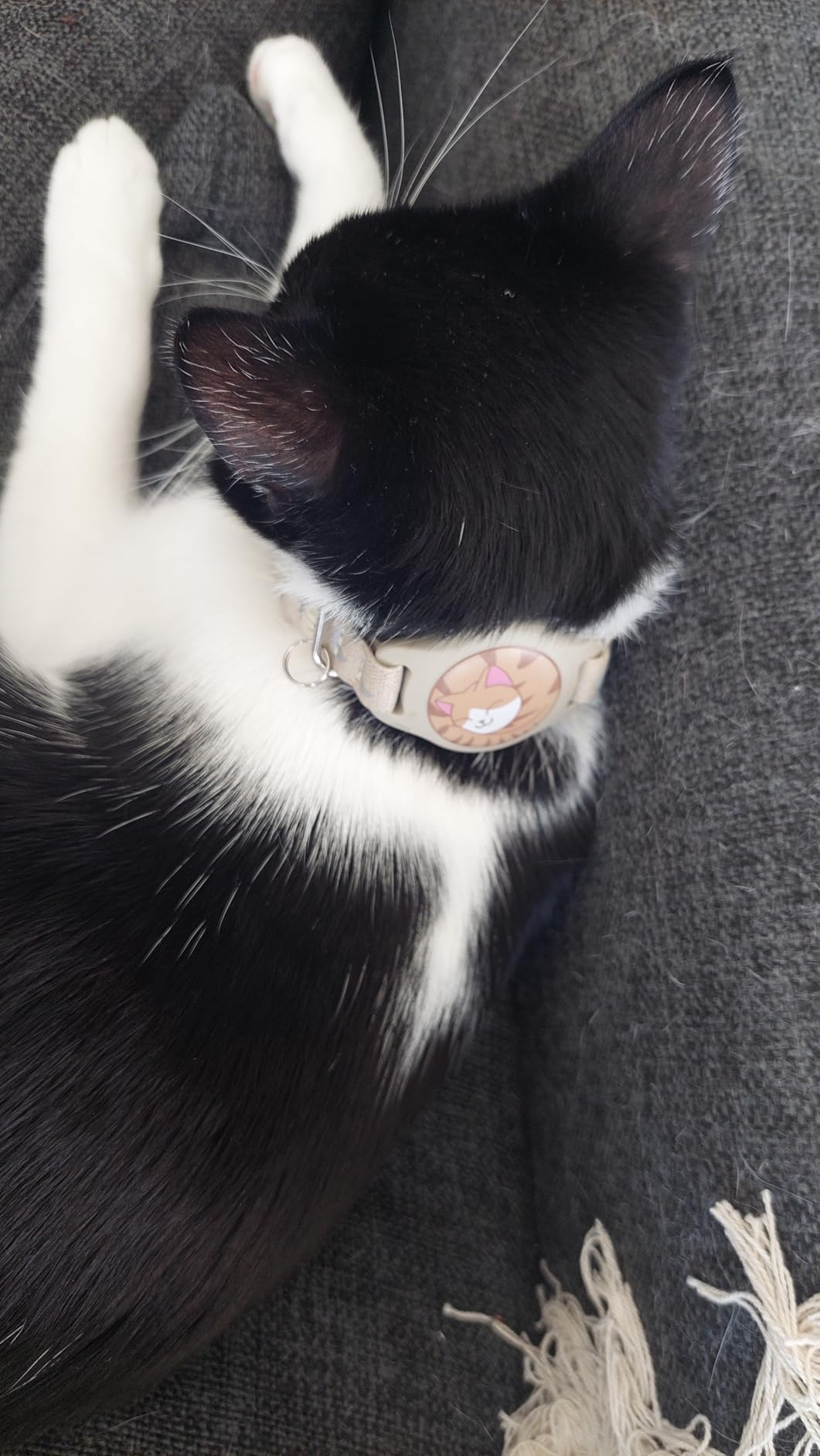 Cat Tracker Collar with Finder Tag - Waterproof Airtag Cat Collar, Black customer photo 1