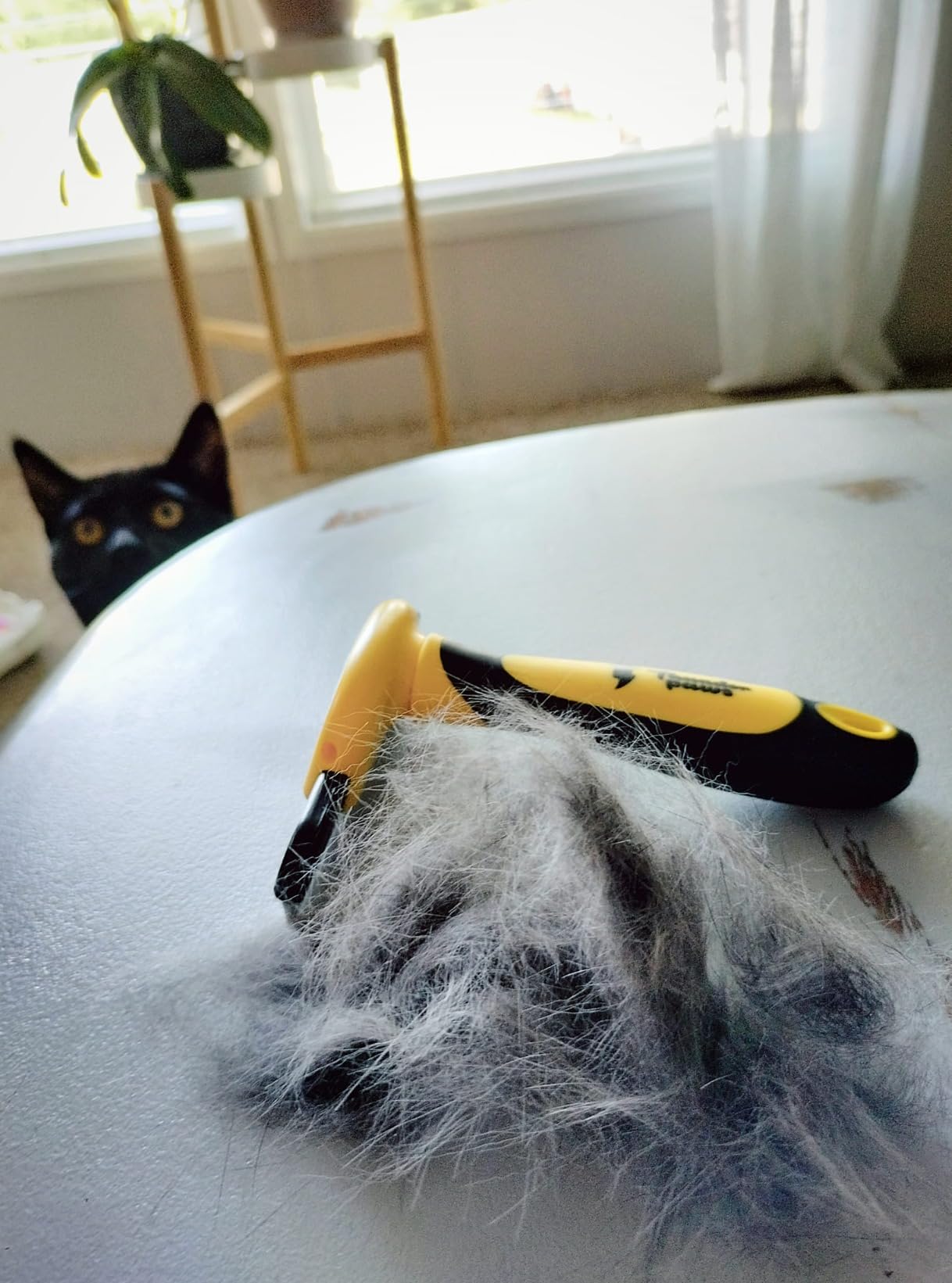 2-in-1 Deshedding Brush and Dematting Rake - Double Coat Undercoat Grooming Tool for Dogs and Cats, Reduces Shedding by Up to 95% (Electric Blue) customer photo 1
