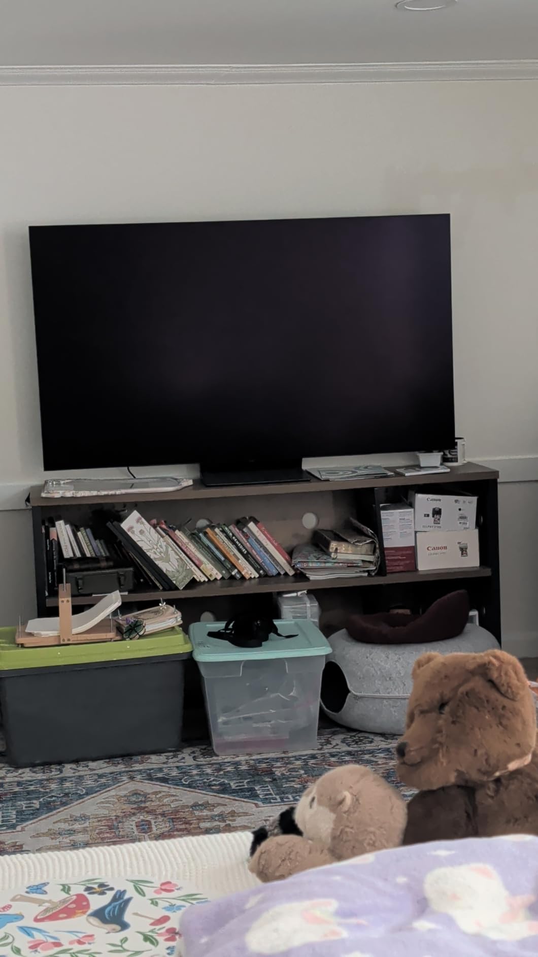 Samsung S90H 65-inch customer photo 1