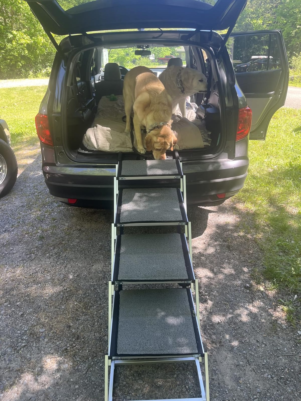 Dog Stairs for Large Dogs, 20'' Extra Wide Foldable Dog Ramp for Car, SUV & Truck, Non-Slip DogSteps for High Beds, 4-Step Aluminum Frame, Supports up to 250 lbs customer photo 2