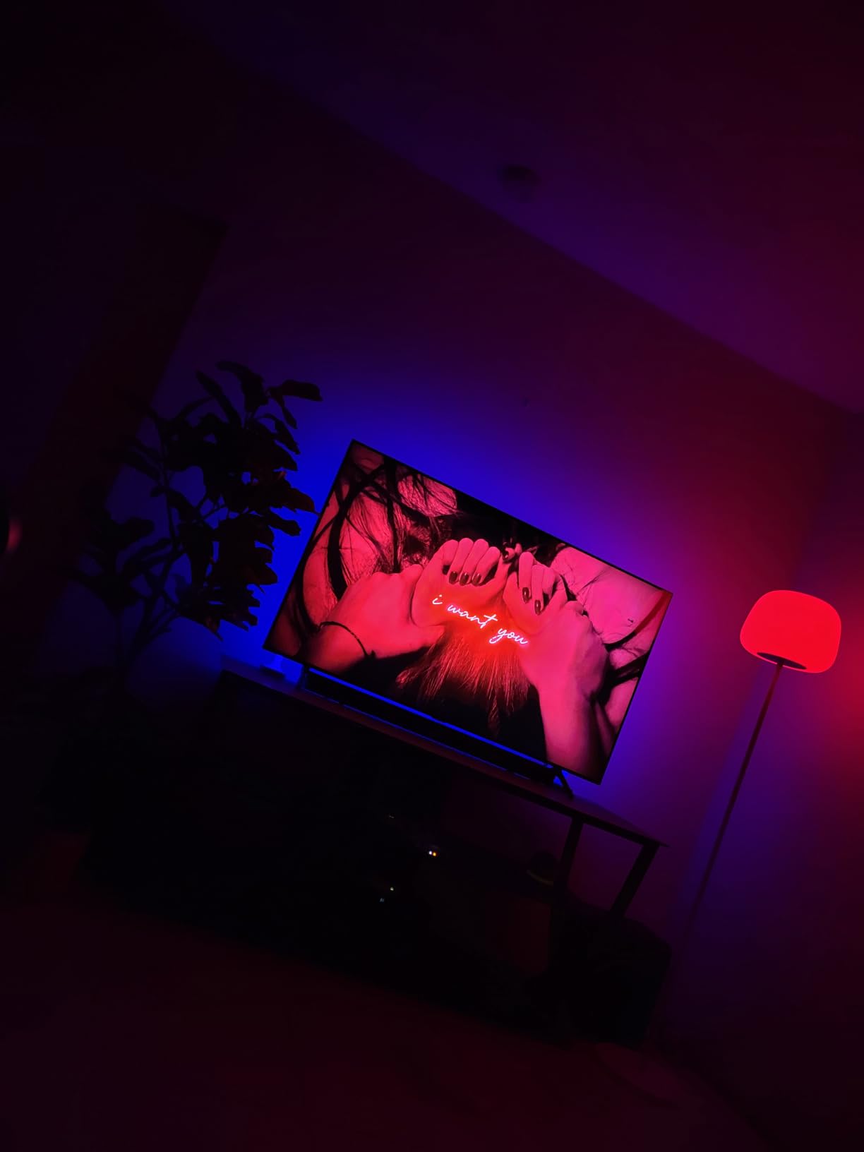 Govee Lantern Floor Lamp, Halo Gradient RGBIC Smart Corner Lamp for Bedroom | Luminblend+, 1000K-10000K, Matter Compatible, 100+ Scene Modes, Music Sync, 1400lm customer photo 1