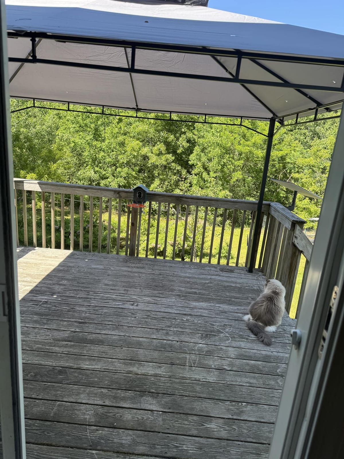 Aoxun 12x10 Outdoor Gazebo with Mosquito Netting & Double Roof, Gray customer photo 2