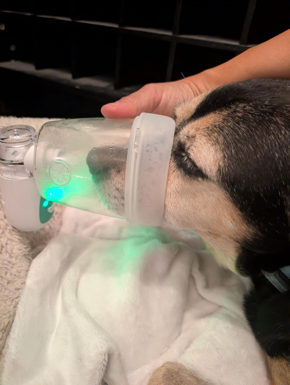 Portable Cat Inhaler with Cat Mask, Low Noise, Strong and Weak Modes for Cats & Small Dogs, Green S Size customer photo 1