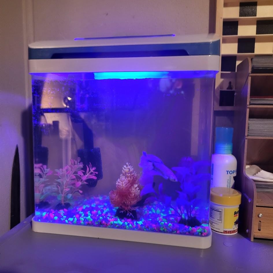 20 Gallon Fish Tank, Betta Large Aquarium Starter Kits,100% Glass Material customer photo 1