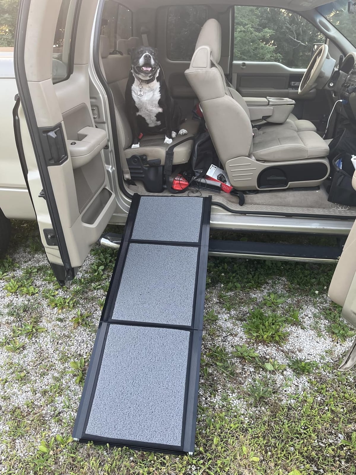 75'' Extra Long Telescoping Dog Ramp, 20