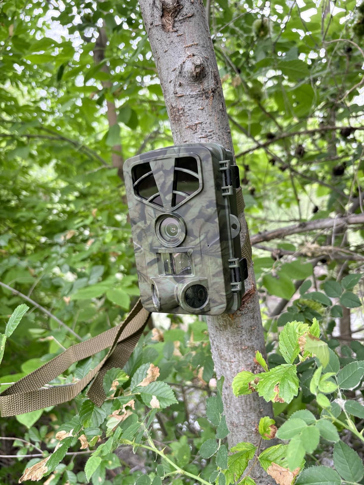 Trail Camera 4K 48MP WiFi Night Vision Trigger Waterproof Game Cam Outdoor | 0.1s Trigger, 120° Wide Angle, Low Glow IR, IP66 Waterproof, Wildlife & Hunting, 8*AA Batteries Included customer photo 2
