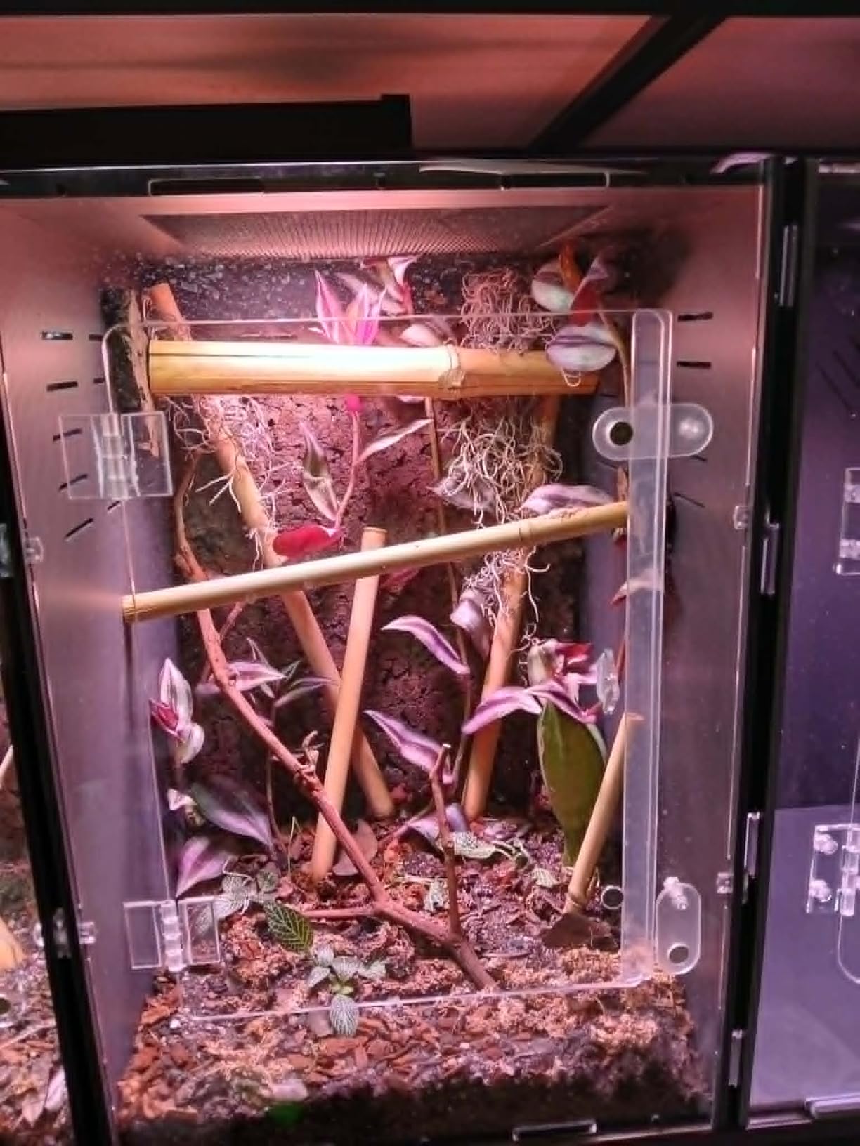 16x16x24 PVC Reptile Terrarium, 25 Gallon Tank for Adult Reptiles Habitat customer photo 1