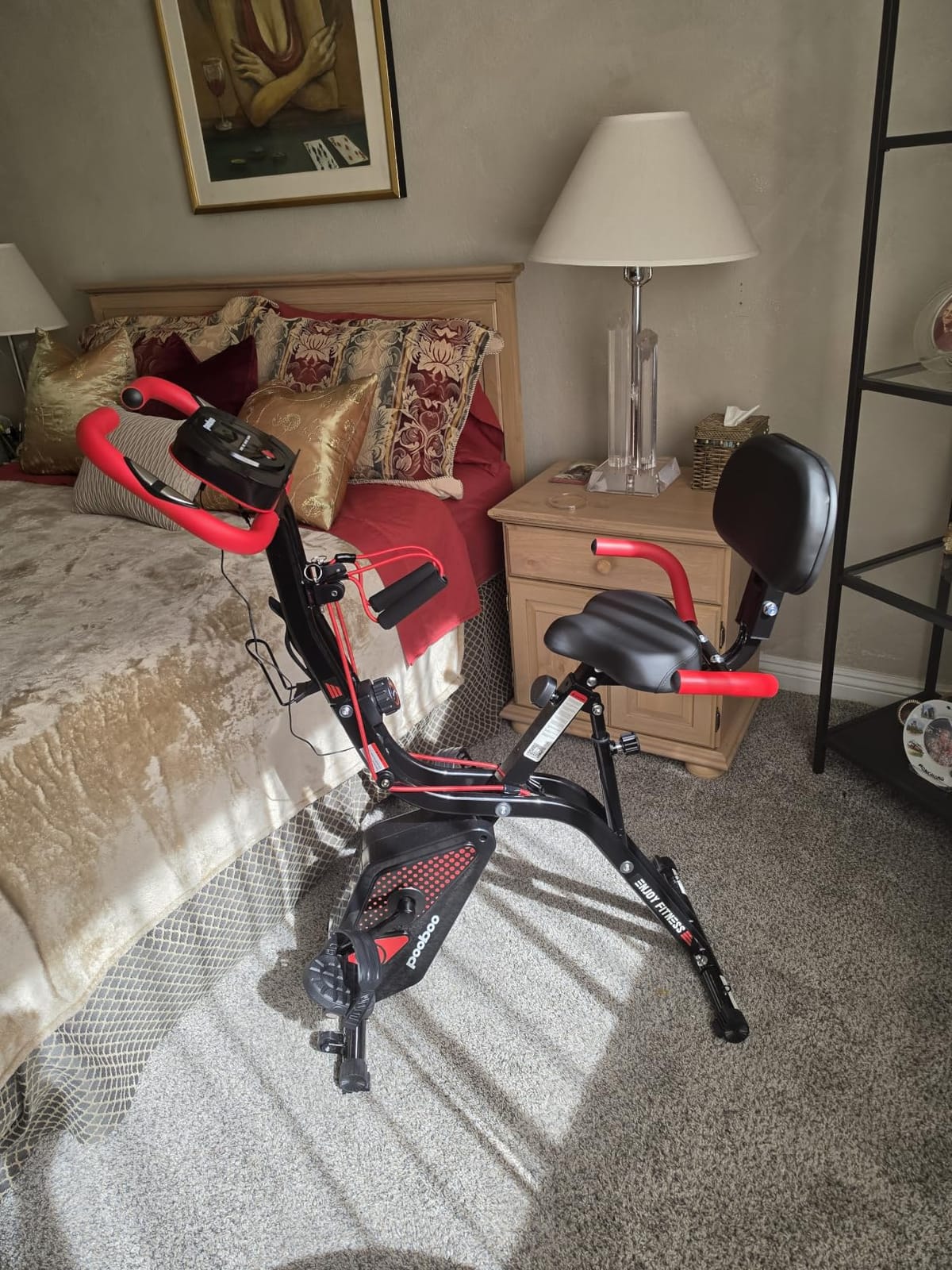 pooboo Folding Magnetic X-Bike, Upright Exercise Bike for Home Gym | Foldable Indoor Stationary Cycling Bike, 8-Level Resistance, 6.6 LBS Flywheel, 300 LB Capacity, Back Support Cushion customer photo 2