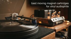 best moving magnet cartridges for vinyl audiophile