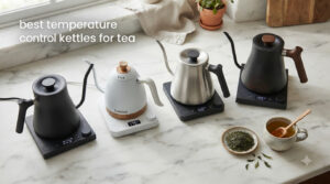 best temperature control kettles for tea