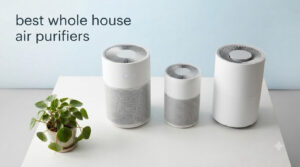 best whole house air purifiers
