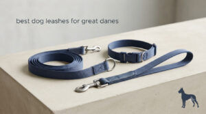 best dog leashes for great danes