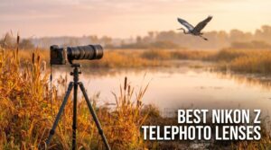 best nikon z telephoto lenses