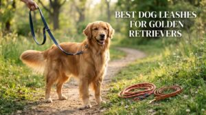 best dog leashes for golden retrievers