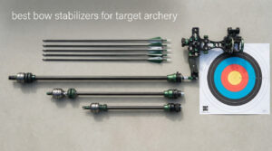 best bow stabilizers for target archery