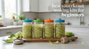 best sauerkraut making kits for beginners