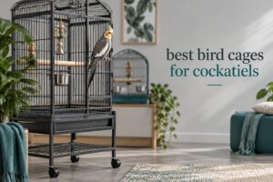 best bird cages for cockatiels
