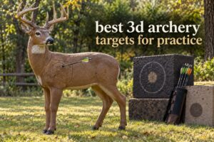 best 3d archery targets for practice