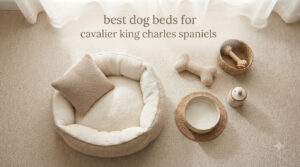 best dog beds for cavalier king charles spaniels