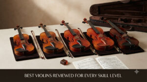 best violins reviewed for every skill level