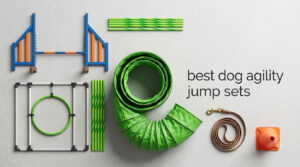 best dog agility jump sets