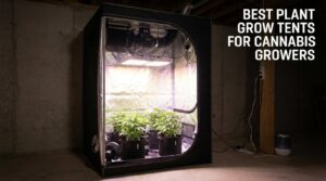 best plant grow tents for cannabis growers
