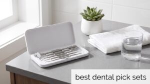 best dental pick sets