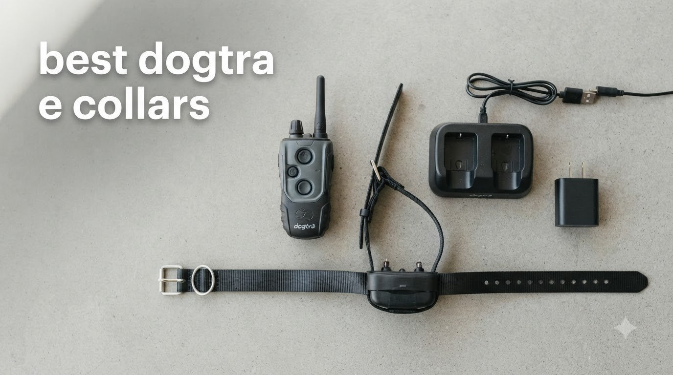 best dogtra e collars
