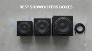 best subwoofers boxes