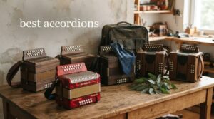 best accordions