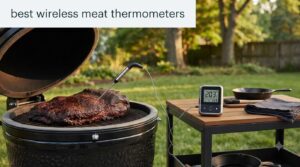 best wireless meat thermometers