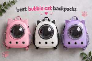 best bubble cat backpacks
