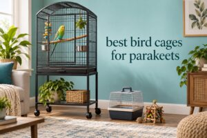 best bird cages for parakeets