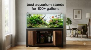 best aquarium stands for 100+ gallons