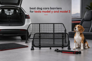 best dog cars barriers for tesla model y and model 3