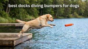best docks diving bumpers for dogs