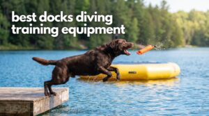 best docks diving training equipment