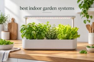 best indoor garden systems