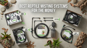 best reptile misting systems for the money