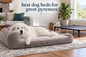 best dog beds for great pyrenees