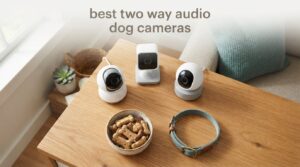best two way audio dog cameras