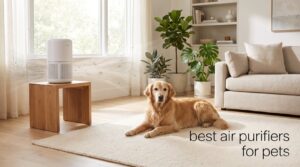 best air purifiers for pets