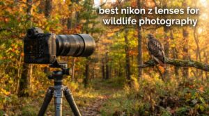 best nikon z lenses for wildlife photography