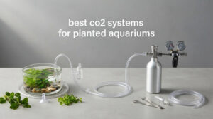 best co2 systems for planted aquariums
